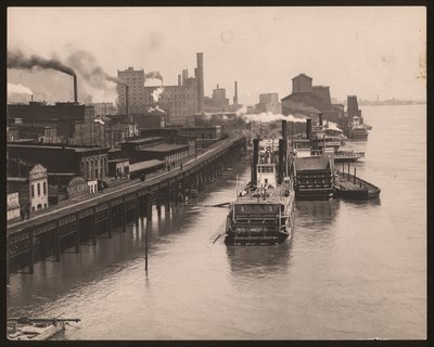 Rive du Mississippi pendant l